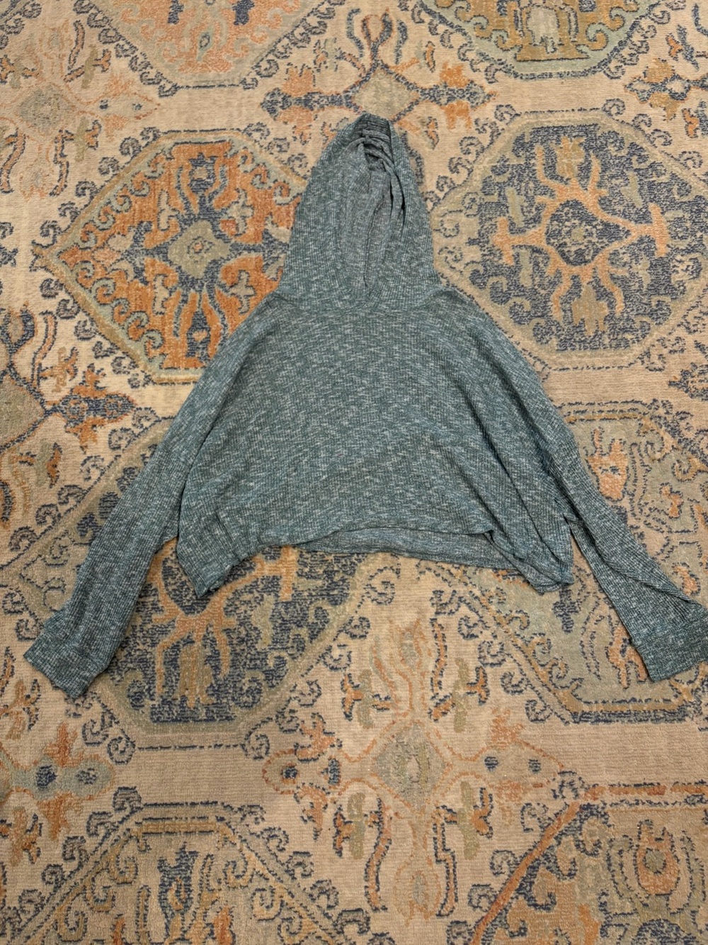 American Eagle Outfitters Cropped Hooded Long Sleeve in Heather Teal Green